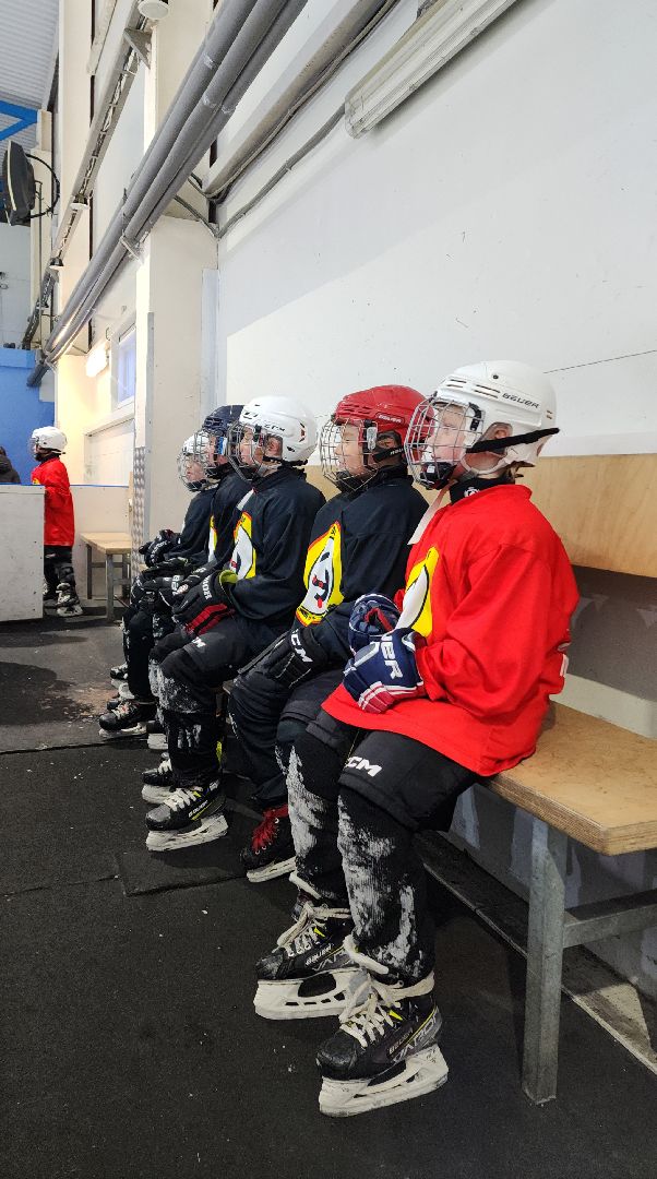 хоккей, день хоккея, электросталь, электросталь спортивная, юные хоккеисты, ледовая арена, ледовый дворец, ледовый комбайн, каток, хоккейный сезон, тренер, тренер по хоккею,