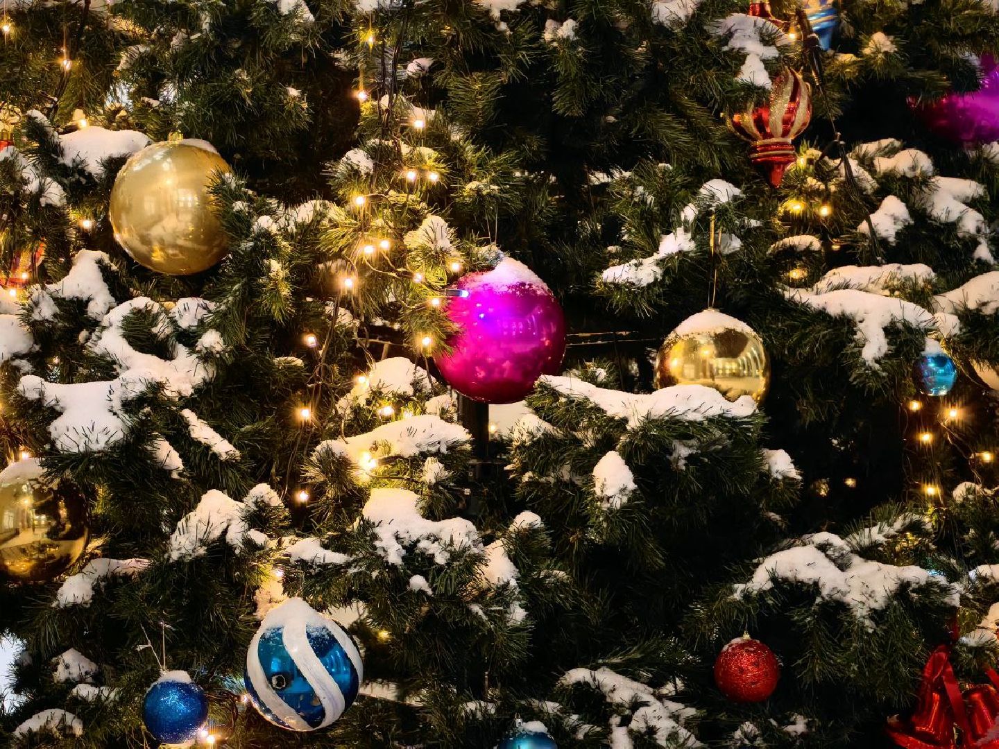 зимний сезон, открытие сезона, праздник, парк, дракон, ёлка,