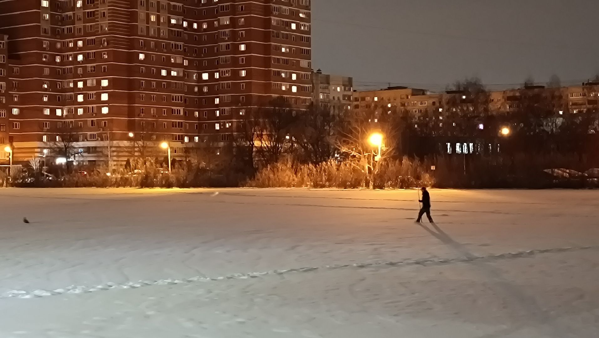 парк, утки, лобня,