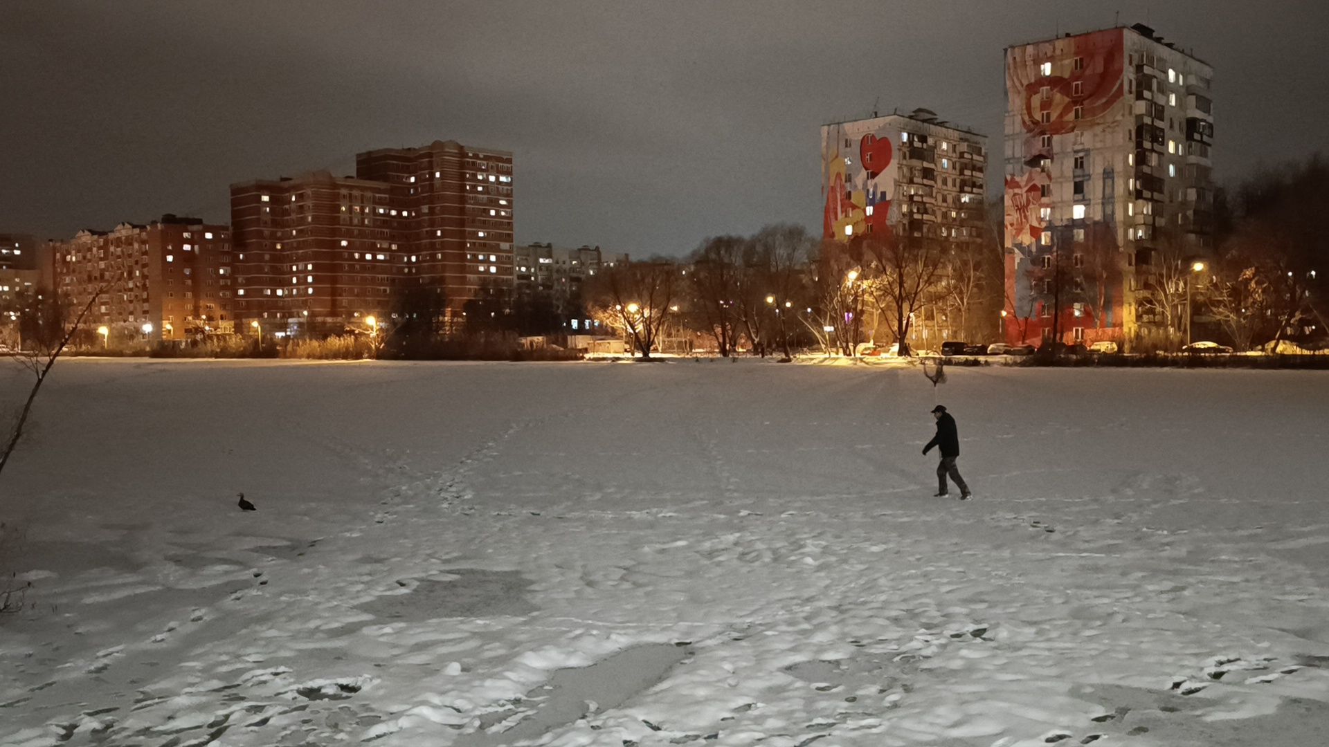 парк, утки, лобня,