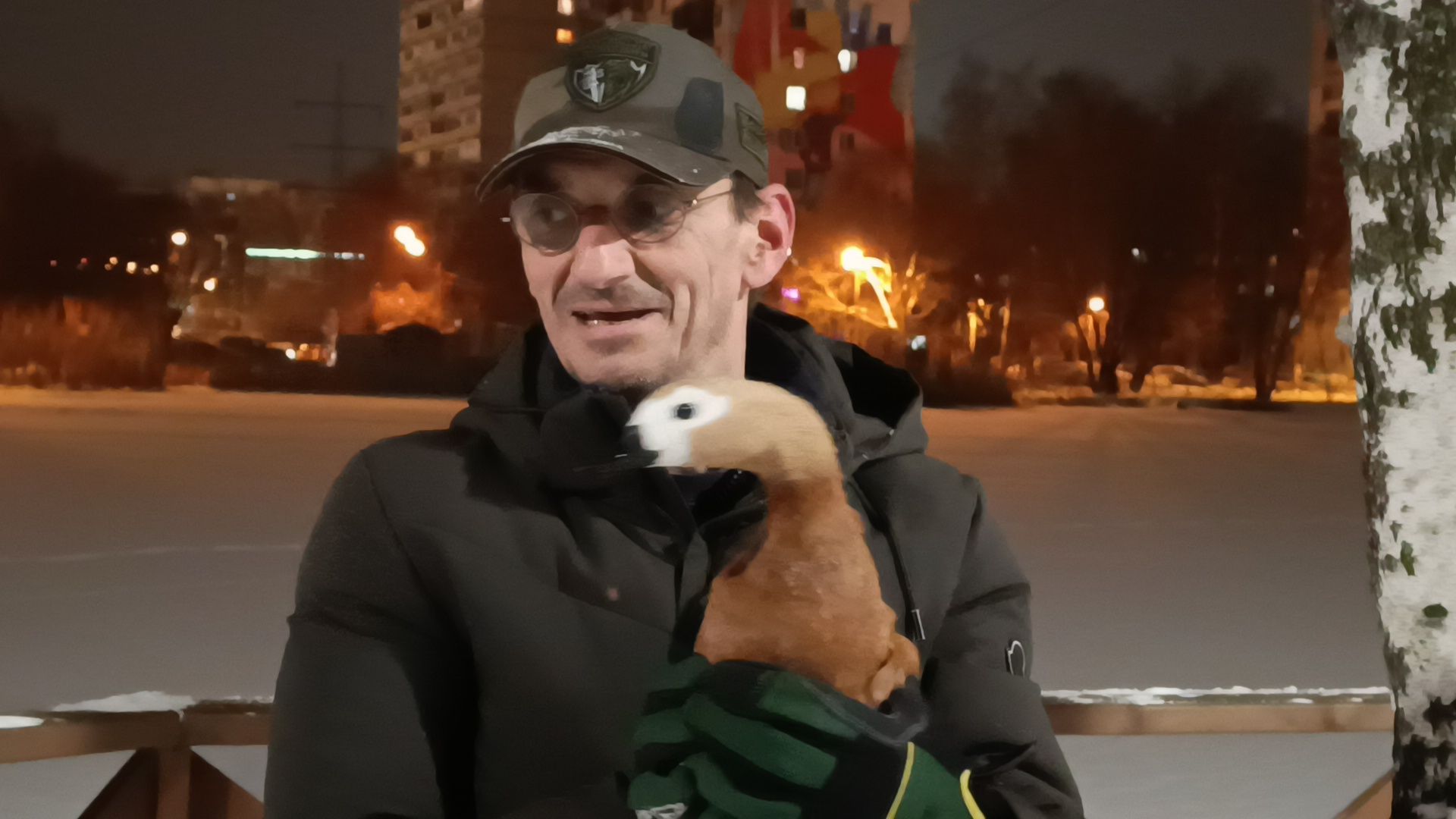 парк, утки, лобня,