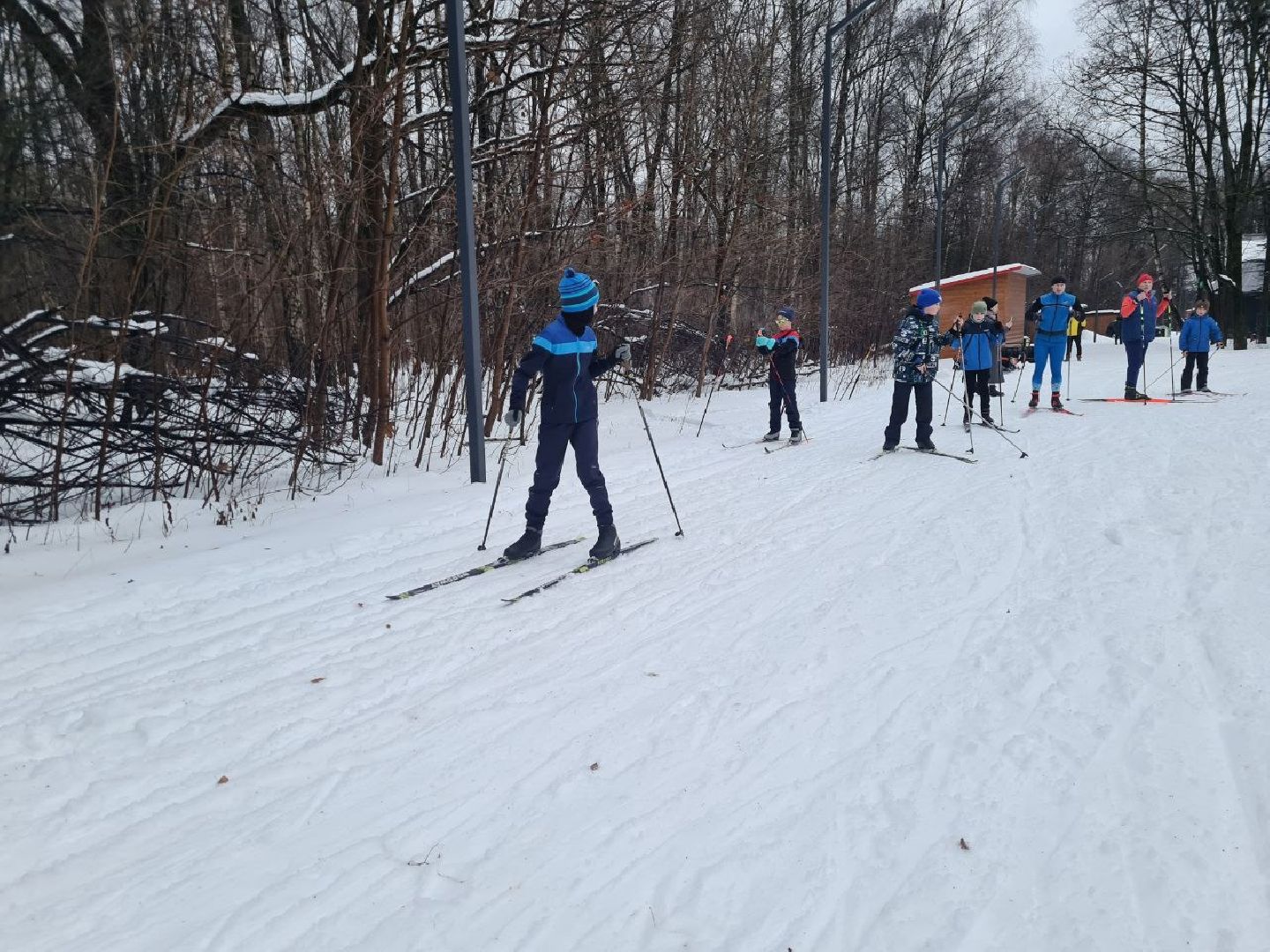 лыжня, спорт подмосковья, зимний сезон, зима в подмосковье, апаринки, видное,
