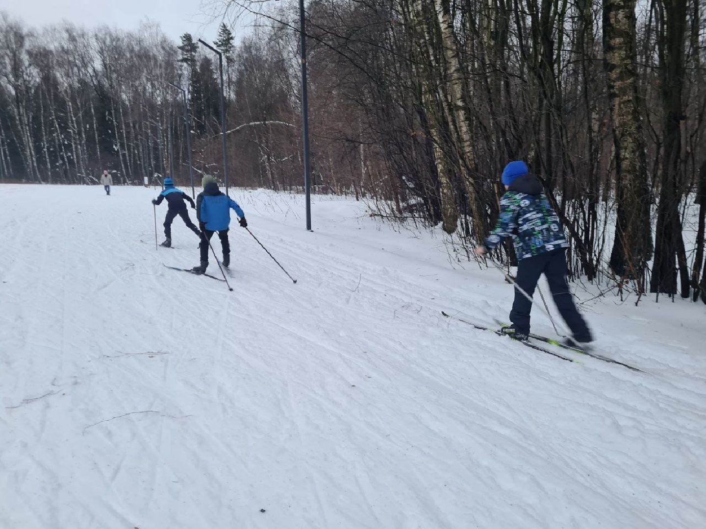 лыжня, спорт подмосковья, зимний сезон, зима в подмосковье, апаринки, видное,