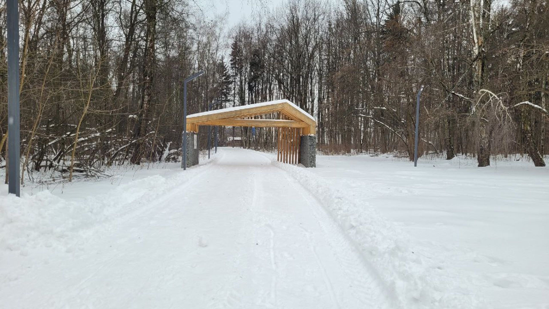 лыжня, спорт подмосковья, зимний сезон, зима в подмосковье, апаринки, видное,