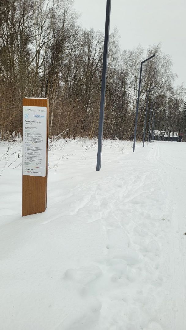 лыжня, спорт подмосковья, зимний сезон, зима в подмосковье, апаринки, видное,