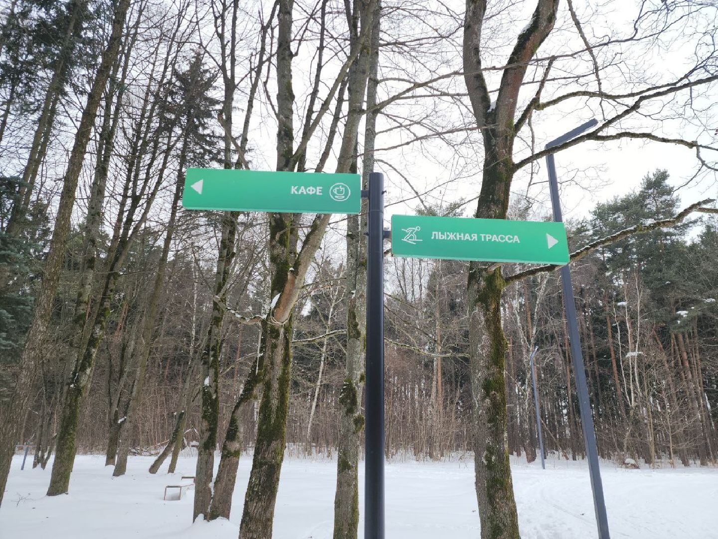 лыжня, спорт подмосковья, зимний сезон, зима в подмосковье, апаринки, видное,