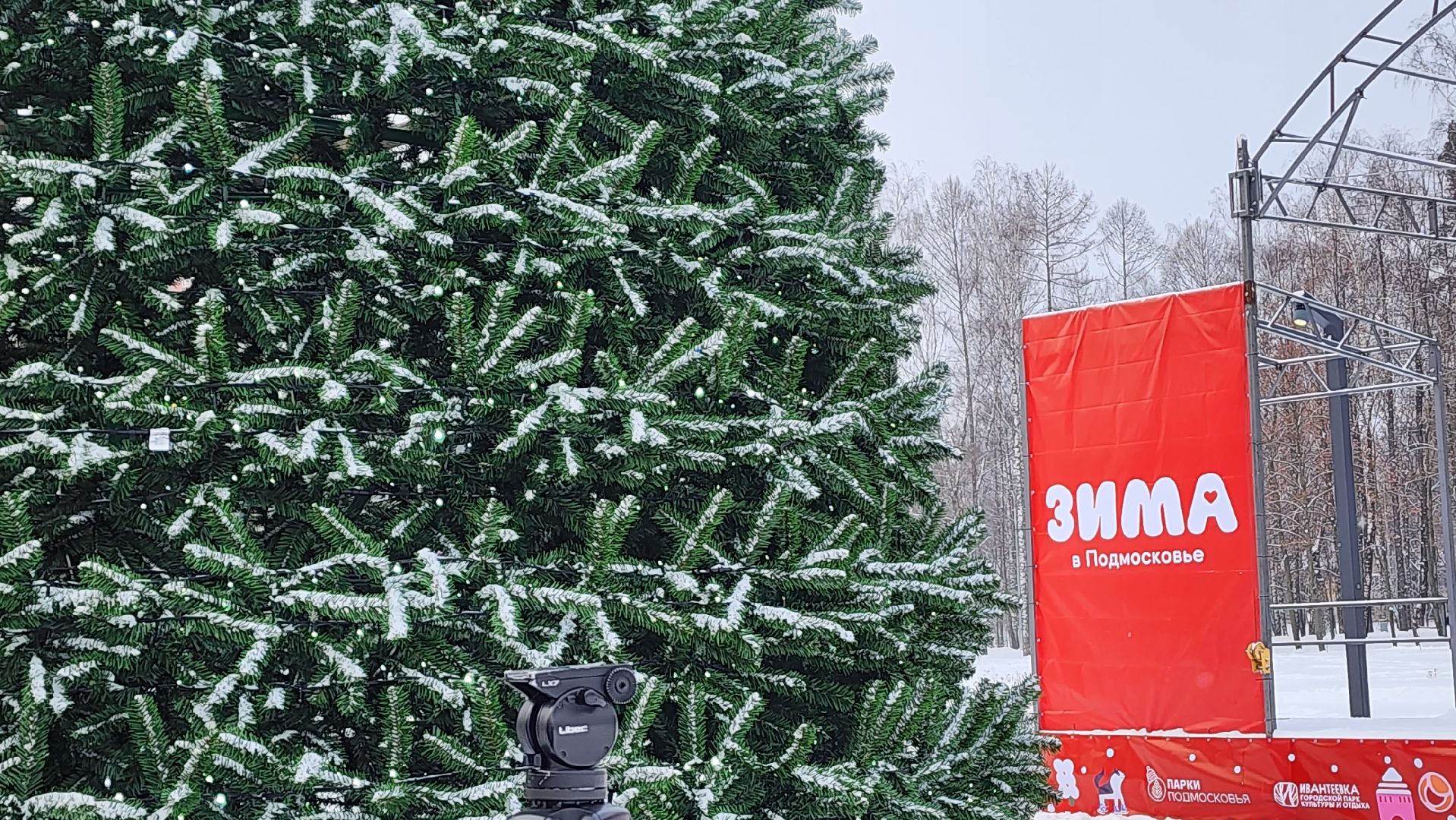 Подмосковье, Городской округ Пушкинский, Ивантеевка, Власть, Дети, Образование, благоустройсво, Парки Подмосковья,