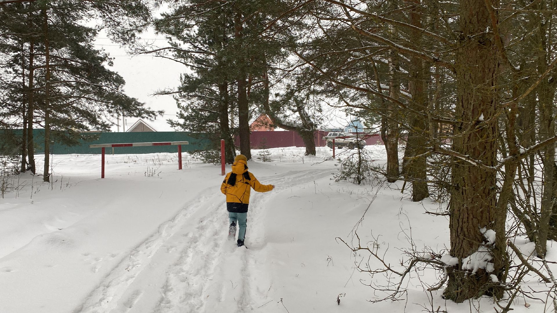 волоколамск, лес,лесничий, дед мороз, почта деда мороза, почта деду морозу,