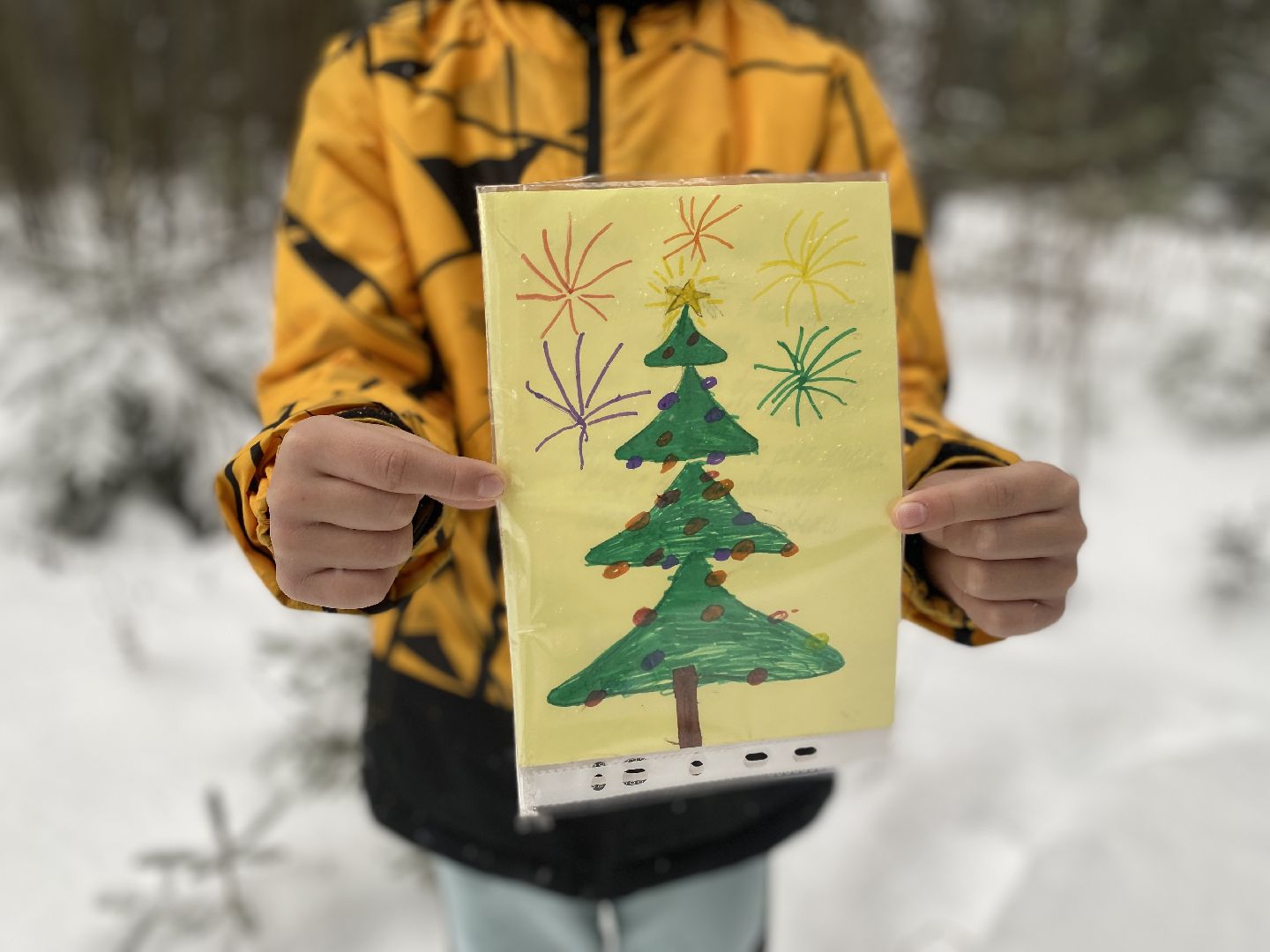 волоколамск, лес,лесничий, дед мороз, почта деда мороза, почта деду морозу,