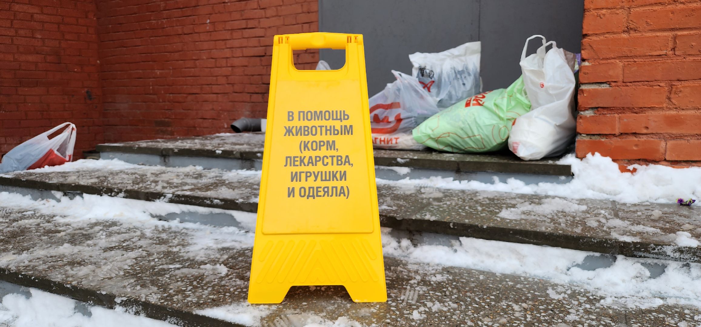 Коломна, вторичная переработка, сортировка отходов, экологическая акция,