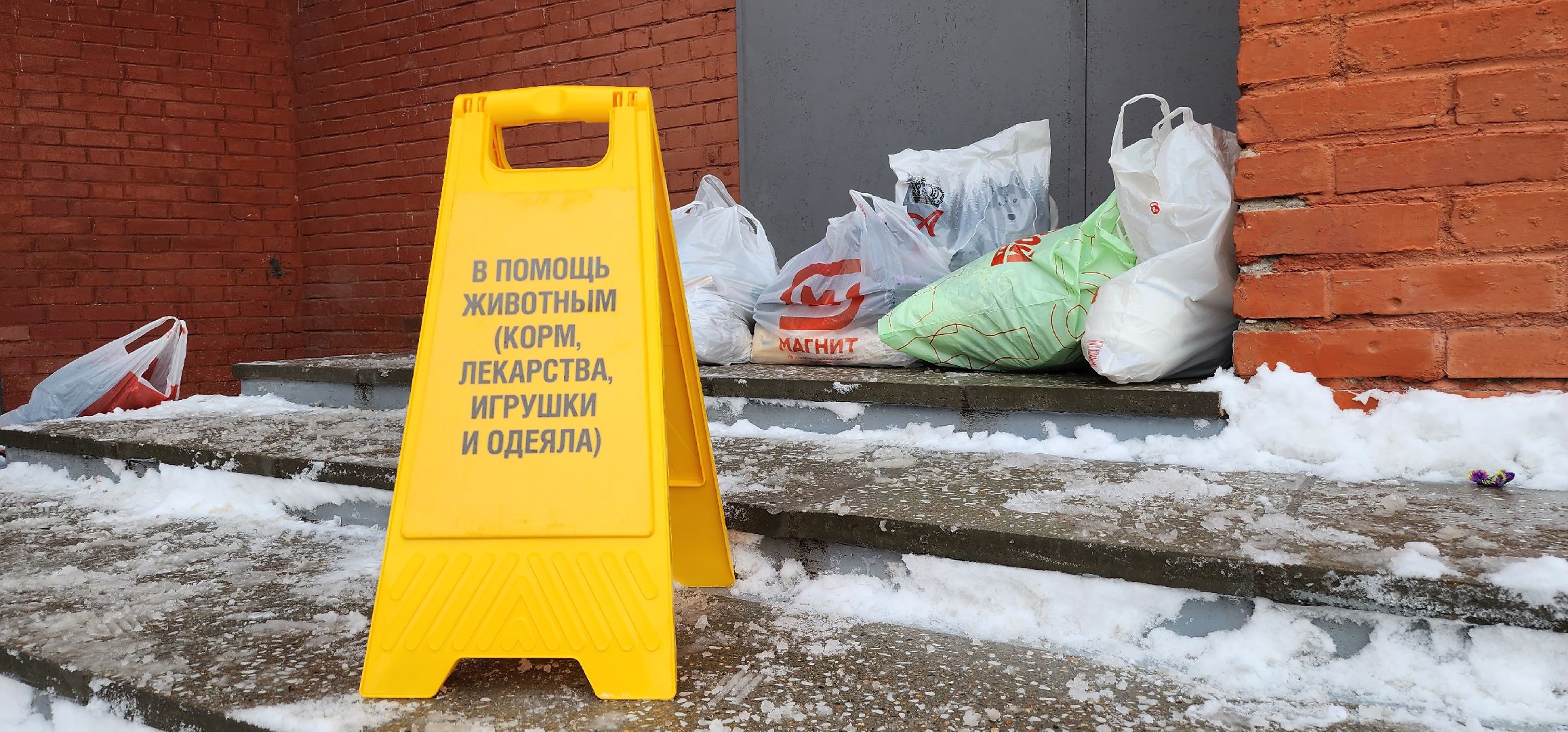 Коломна, вторичная переработка, сортировка отходов, экологическая акция,