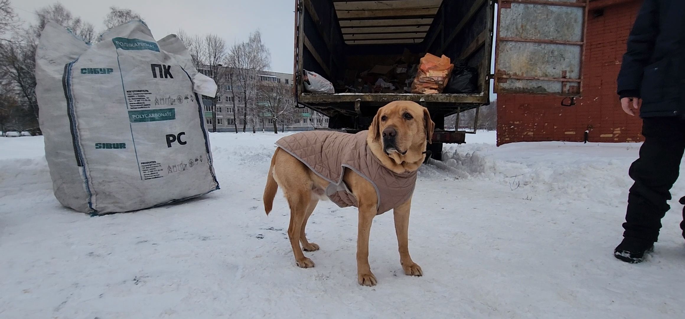 Коломна, вторичная переработка, сортировка отходов, экологическая акция,