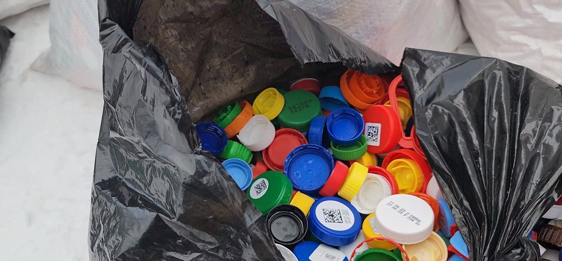 Коломна, вторичная переработка, сортировка отходов, экологическая акция,