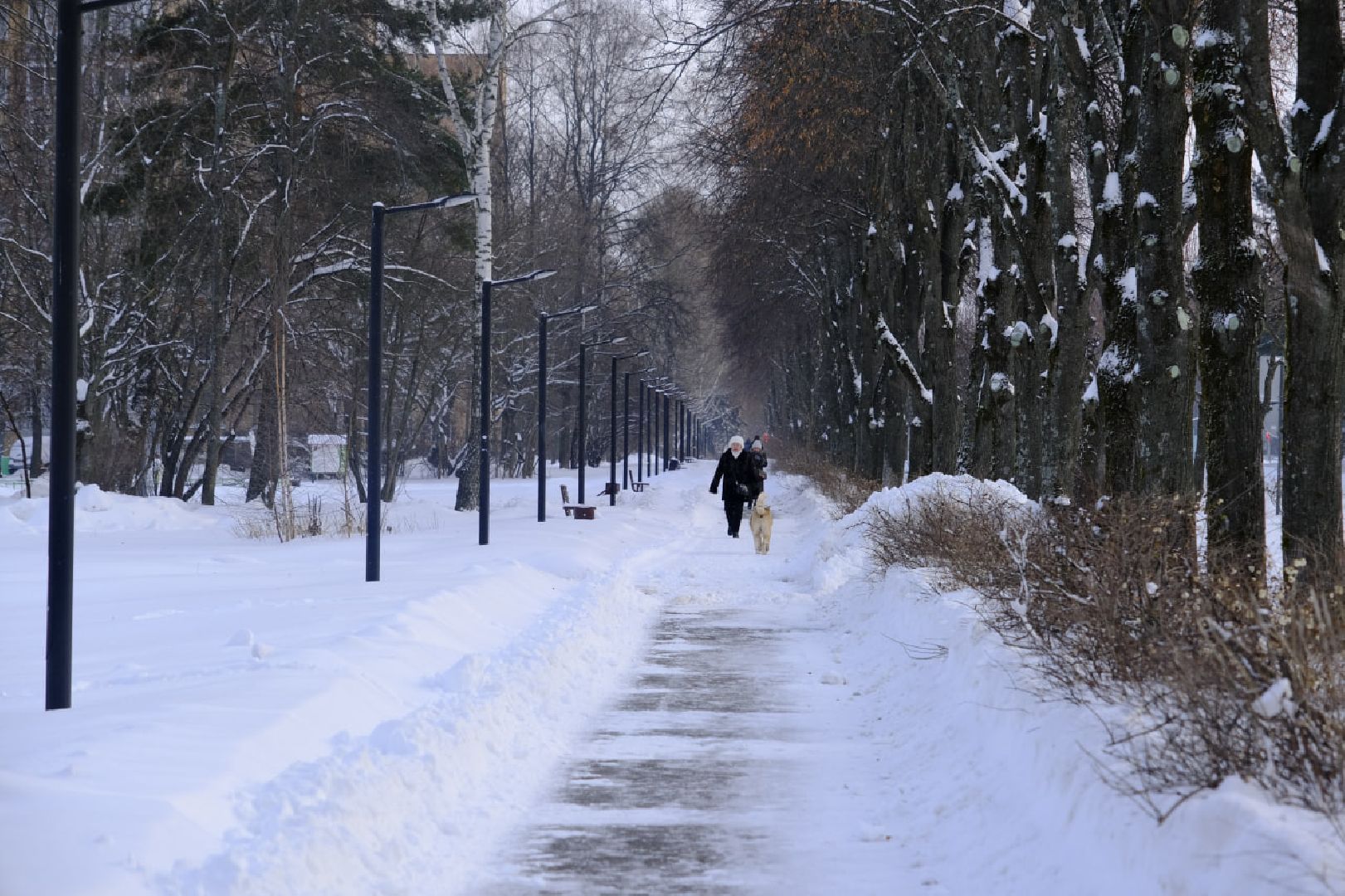 пущино, уборка дворов, снег,