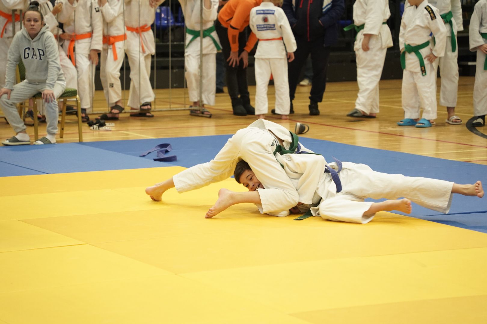 Дзюдо, Рошаль, Большая Шатура, турнир, Долинский турнир,