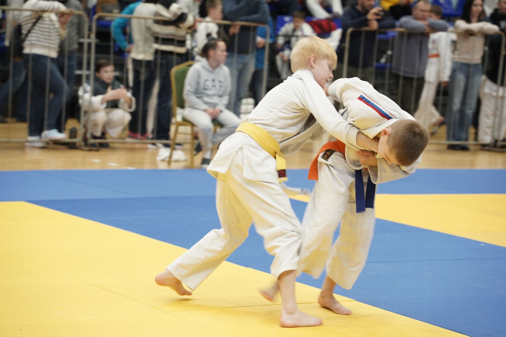 Дзюдо, Рошаль, Большая Шатура, турнир, Долинский турнир,