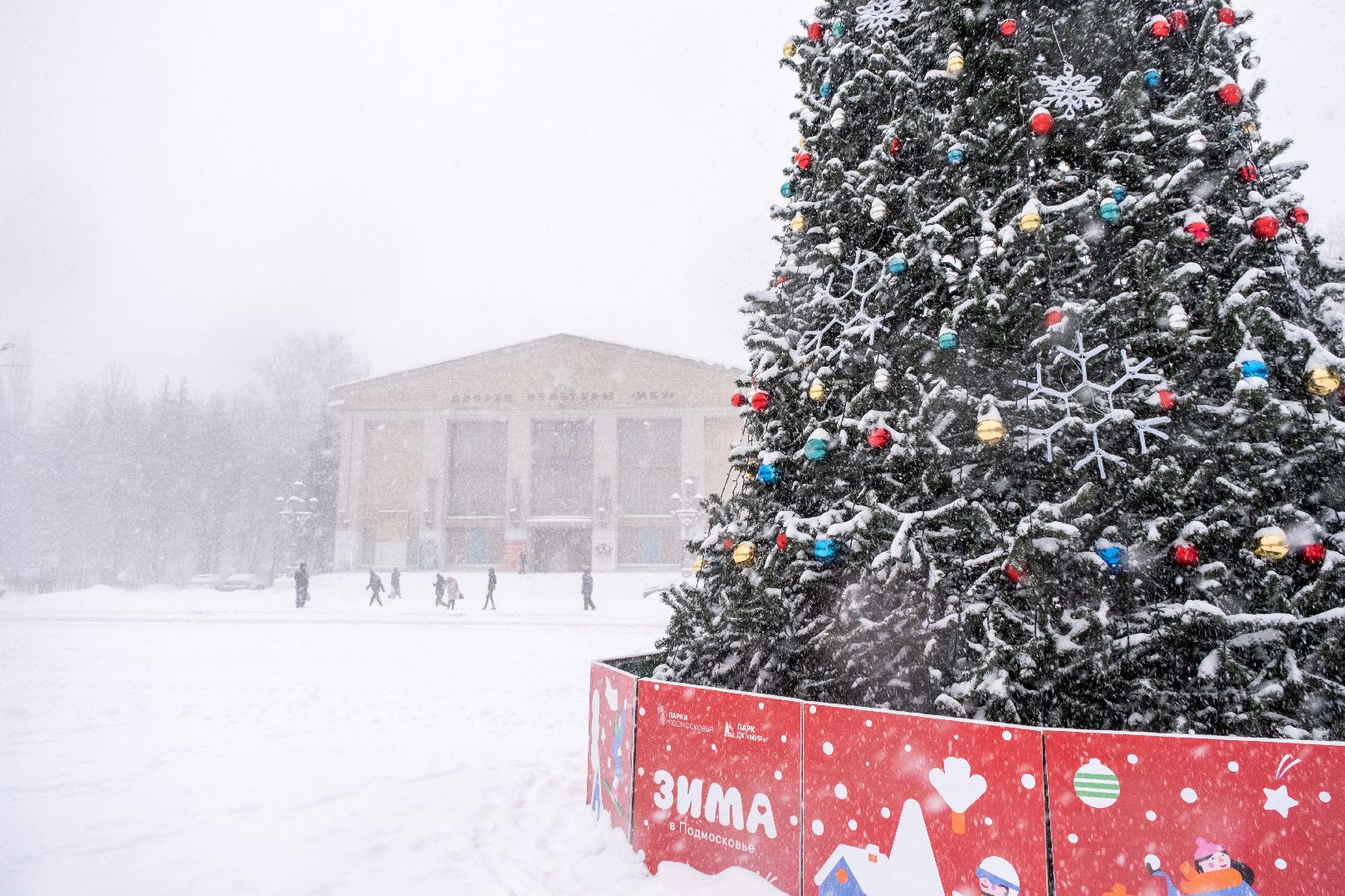 лыткарино, елки, горки,