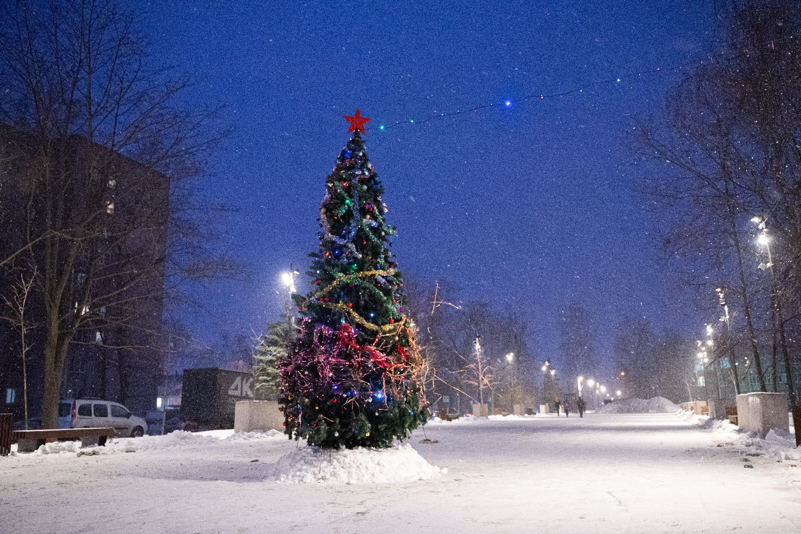 лыткарино, елки, горки,