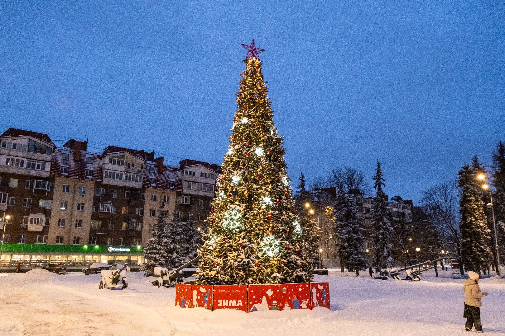 лыткарино, елки, горки,