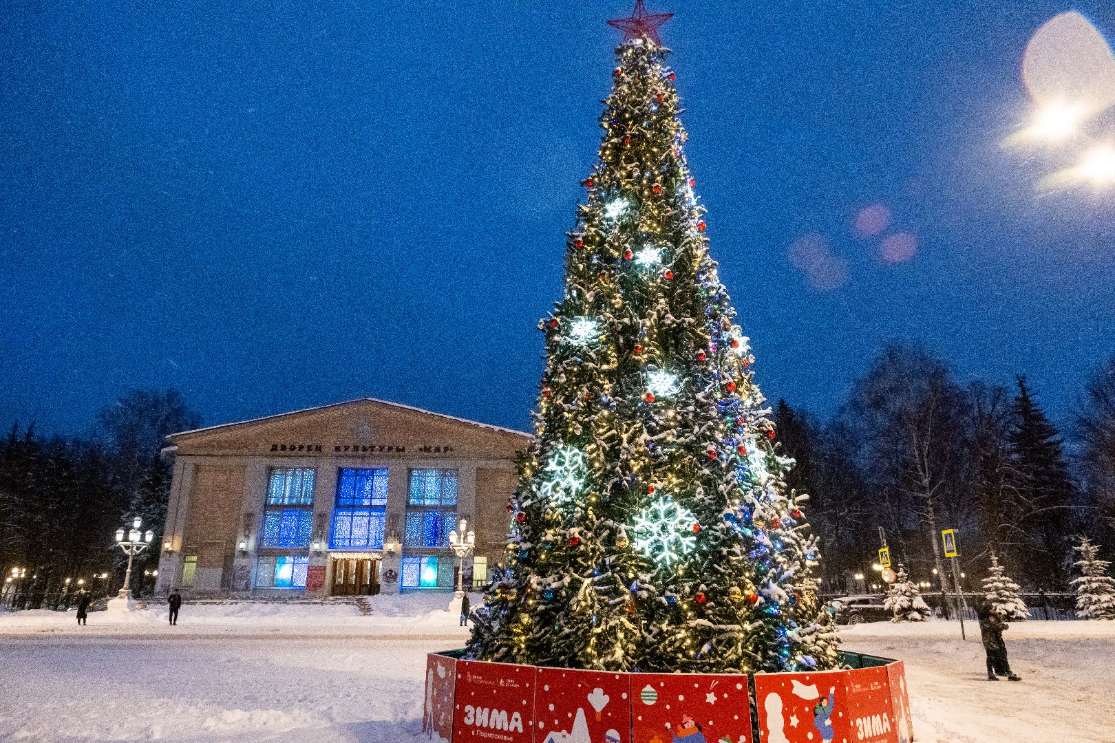 лыткарино, елки, горки,