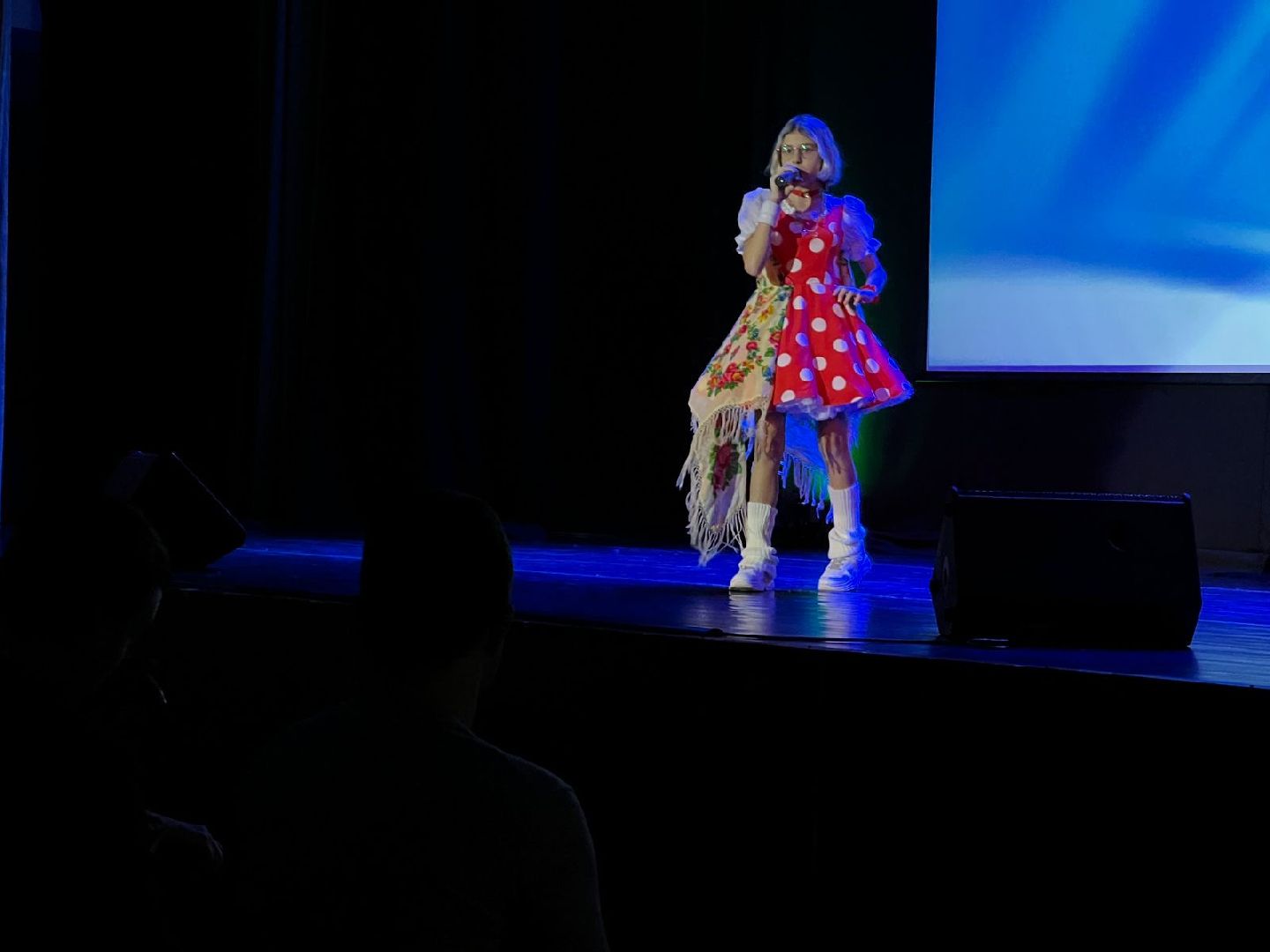 химки, концерт, инвалид, день инвалида, доступная среда,