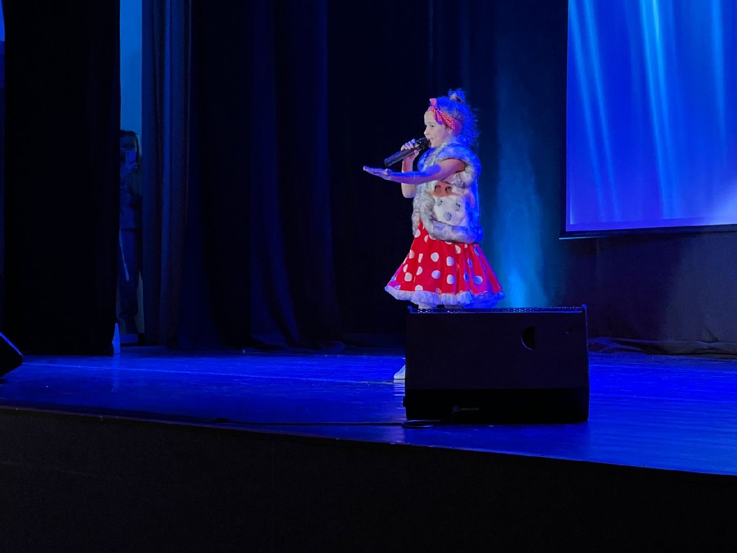 химки, концерт, инвалид, день инвалида, доступная среда,