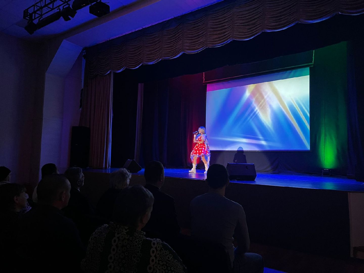 химки, концерт, инвалид, день инвалида, доступная среда,