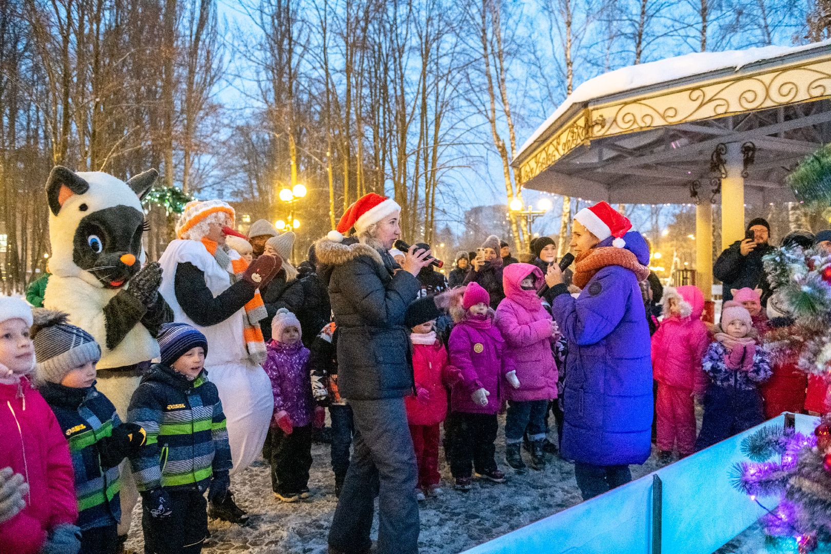 лыткарино, парк, зима в подмосковье,