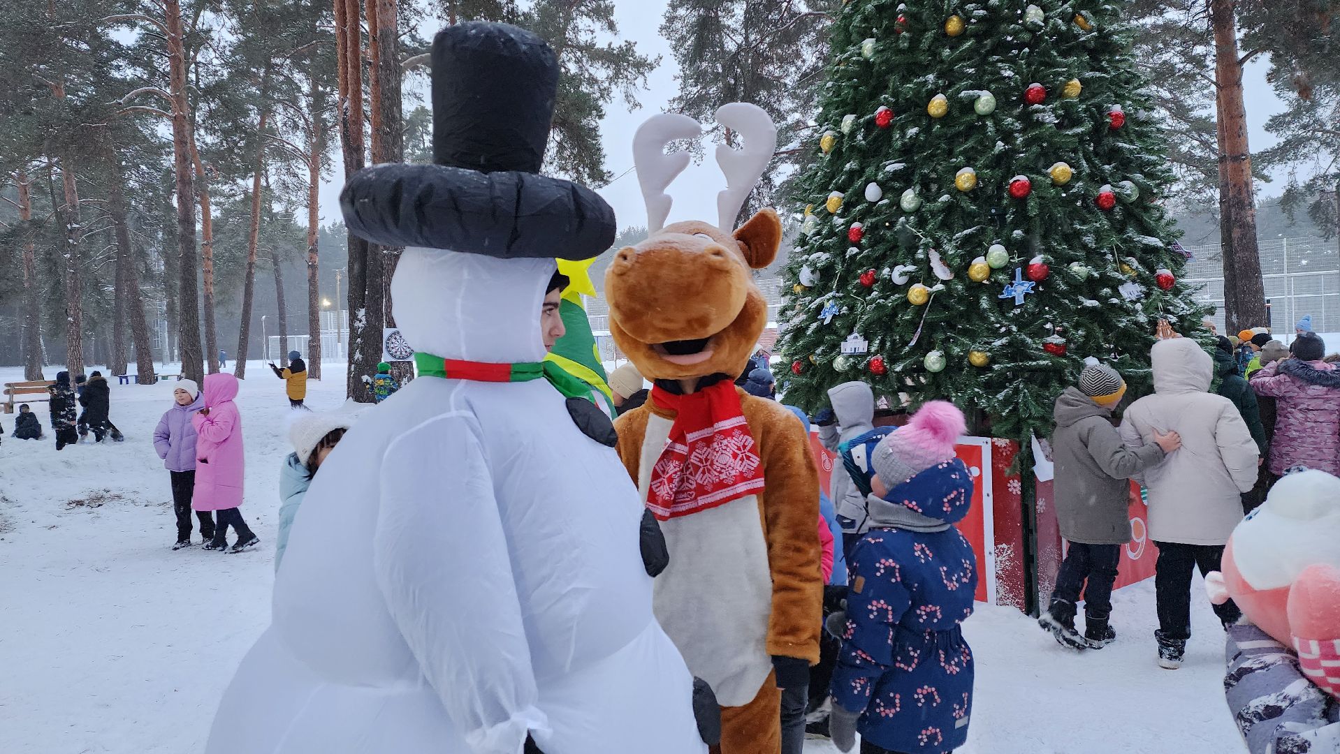 зима в подмосковье, новый год, открытие сезона,