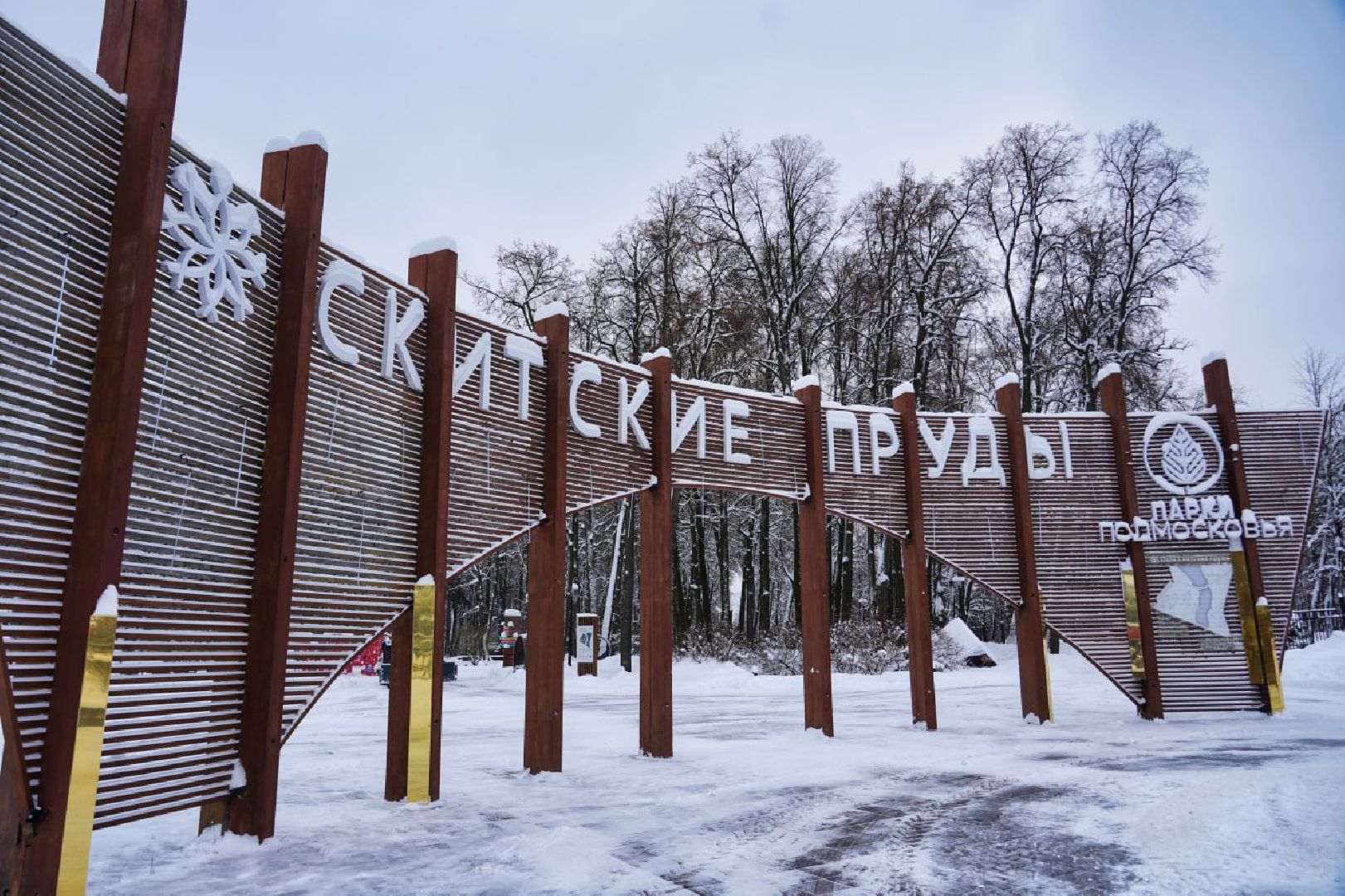 Сергиев Посад, Проект Губернатора, Зима в Подмосковье, Парки МО, Искусственный лед, Каток, Илья Авербух, Андрей Воробьев, Благоустройство,