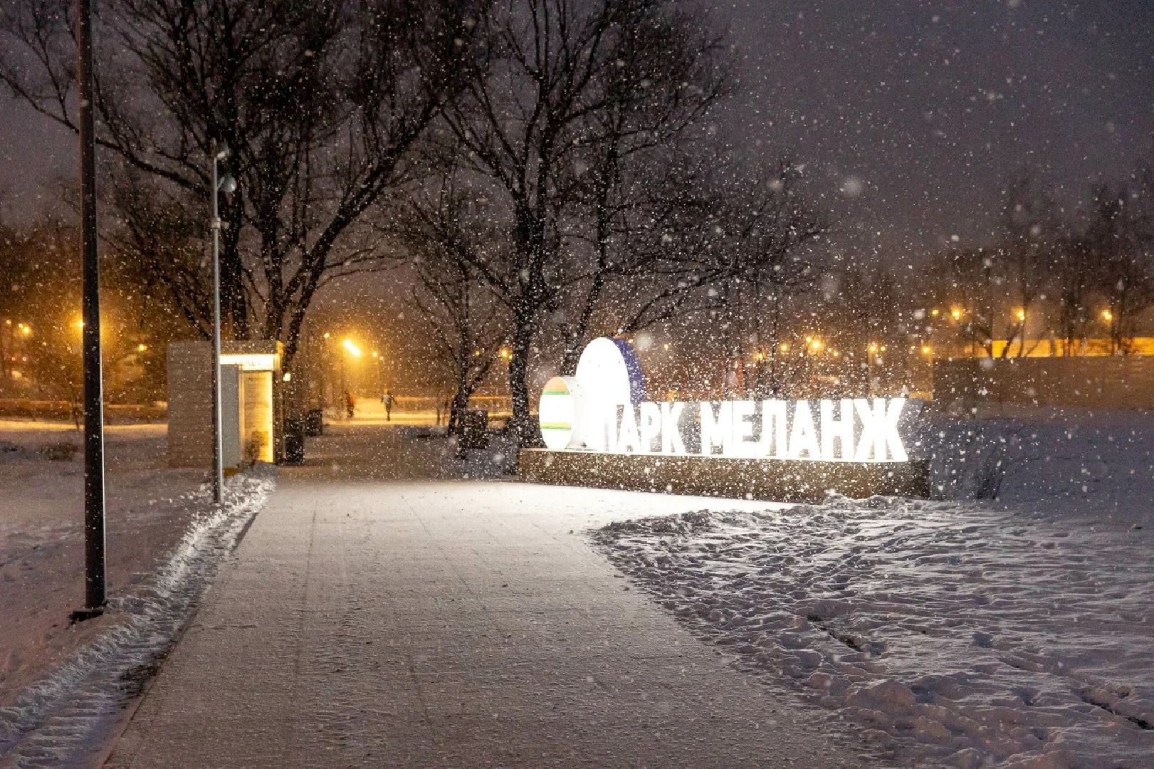 парки подмосковья, Совет парков, зима в подмосковье, отдых, орехово-зуево,