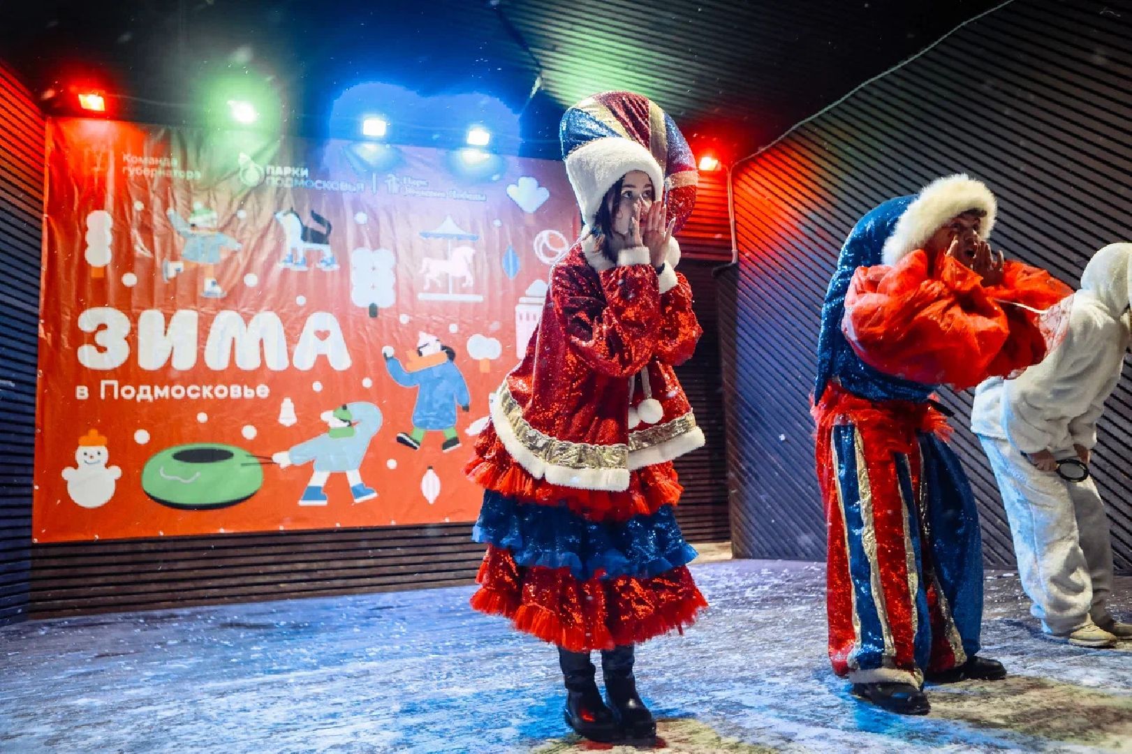 парки подмосковья, Совет парков, зима в подмосковье, отдых, орехово-зуево,