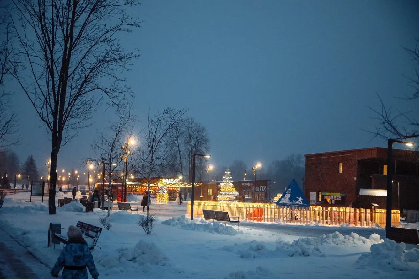 парки подмосковья, Совет парков, зима в подмосковье, отдых, орехово-зуево,