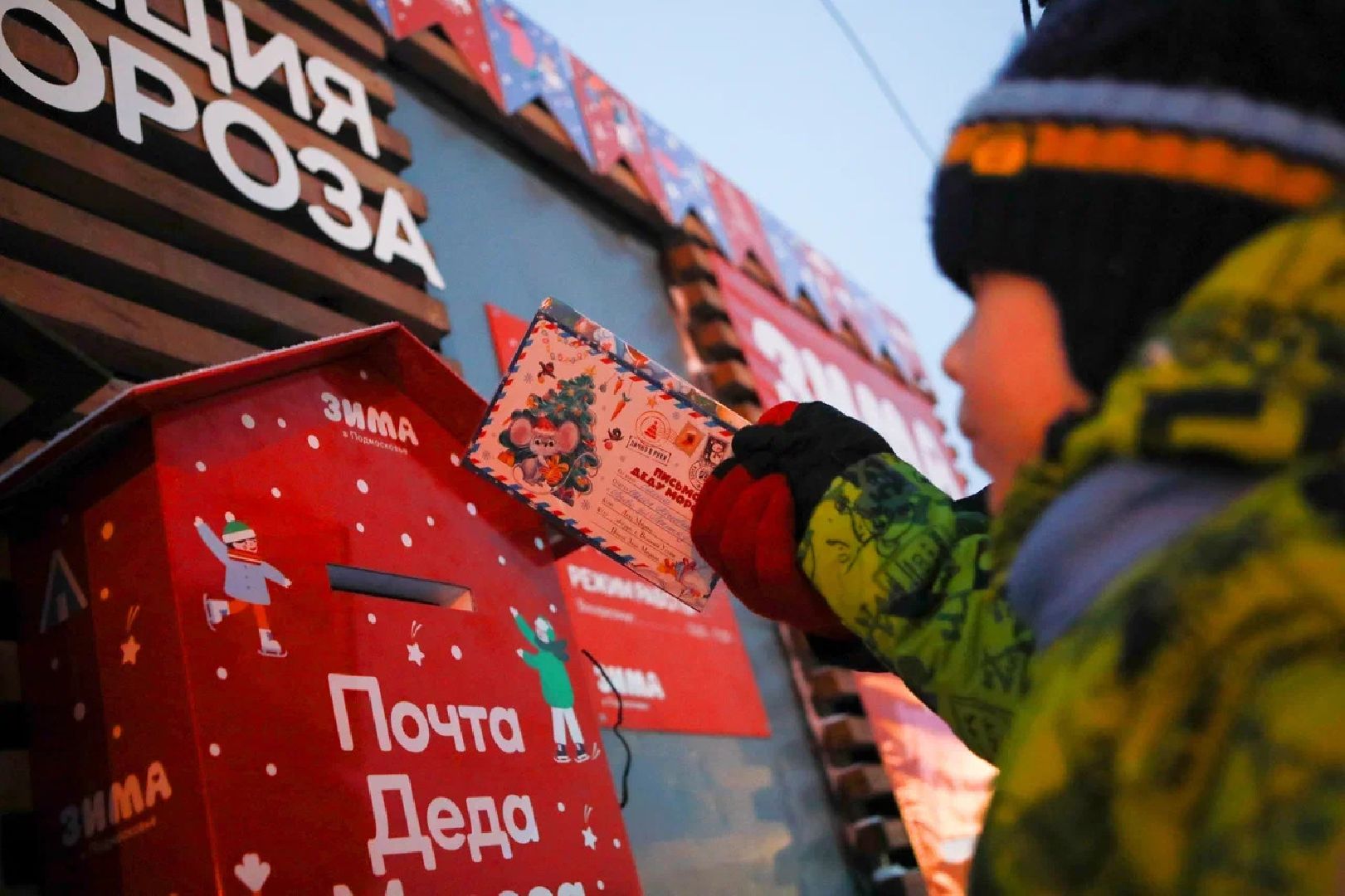 парки подмосковья, Совет парков, зима в подмосковье, отдых, орехово-зуево,