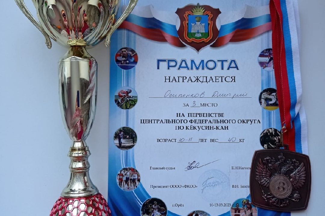 Подольск, ГТО, спорт