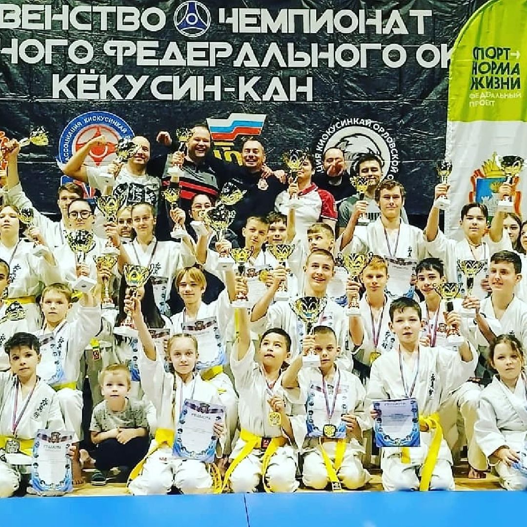 Подольск, ГТО, спорт