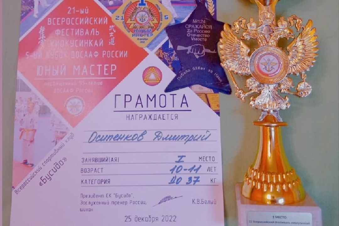 Подольск, ГТО, спорт