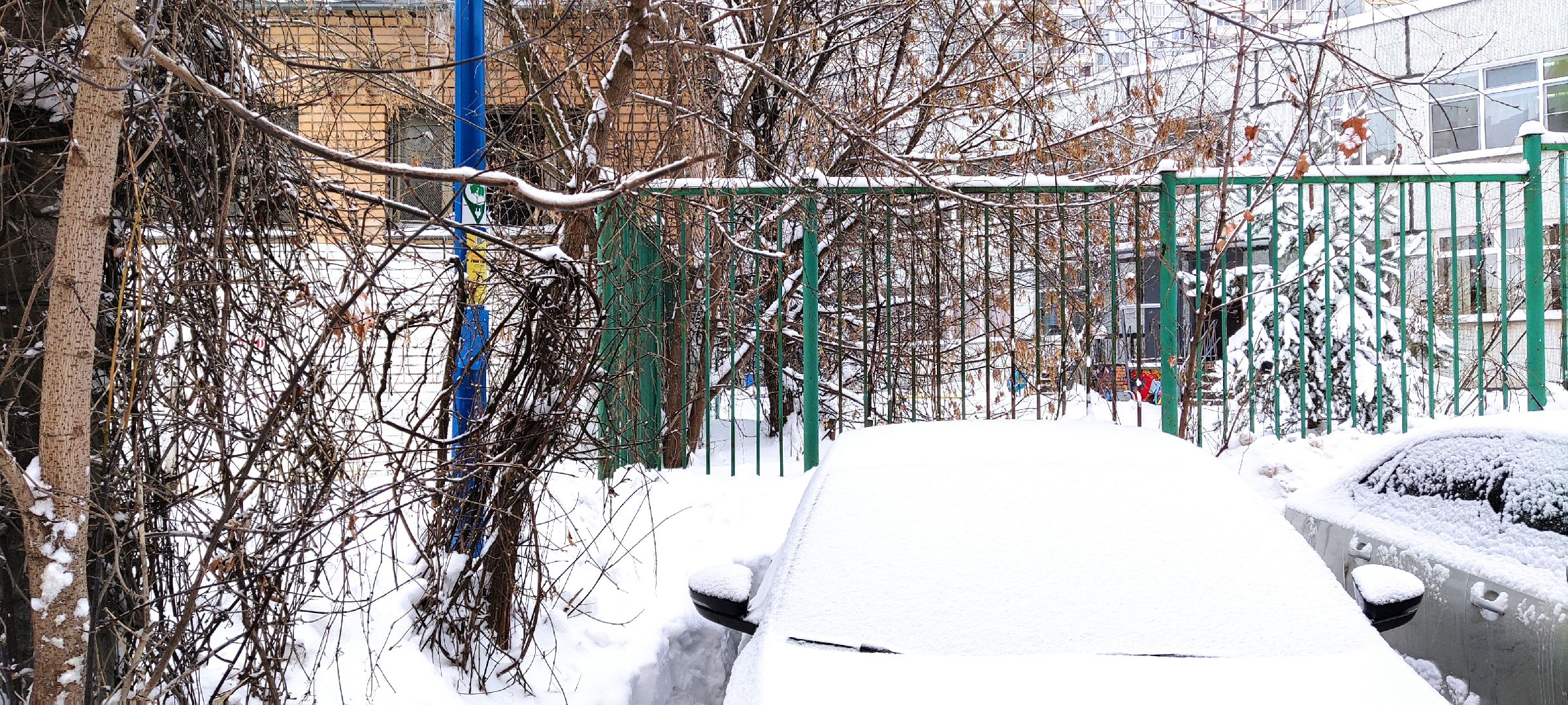 красногорск, автомобили, московская область,