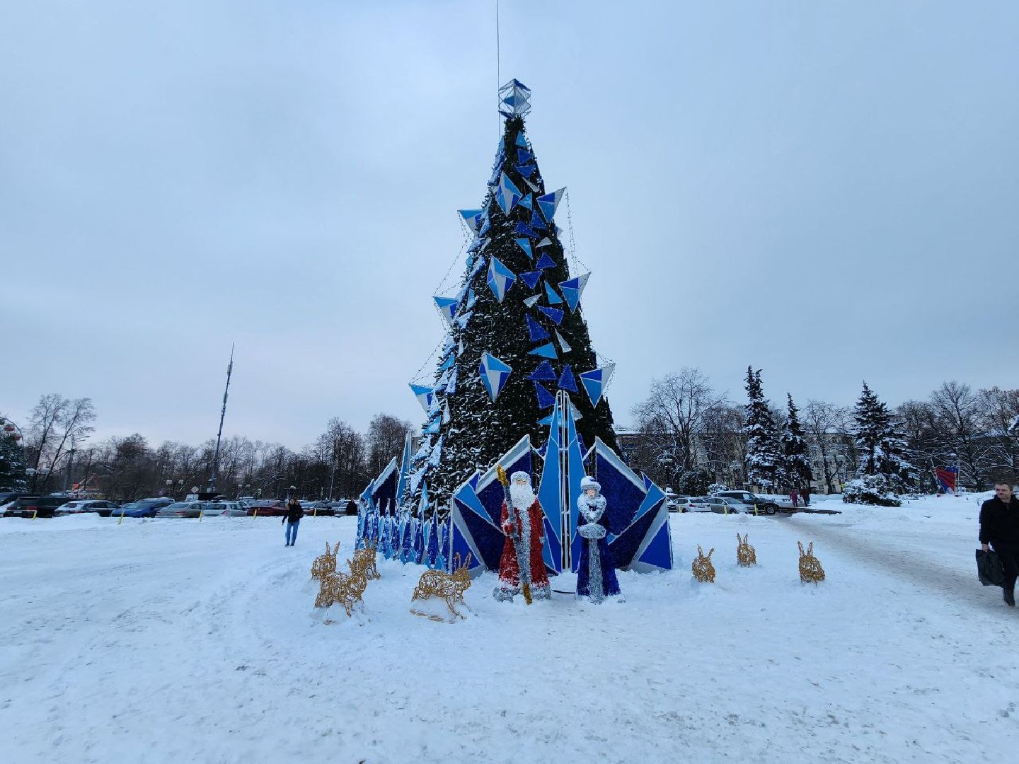 мытищи, зима в подмосковье, ёлка, новый год, администрация,
