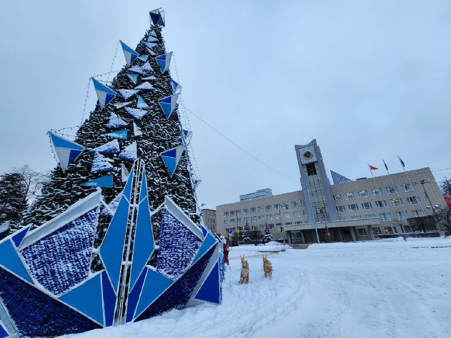 мытищи, зима в подмосковье, ёлка, новый год, администрация,