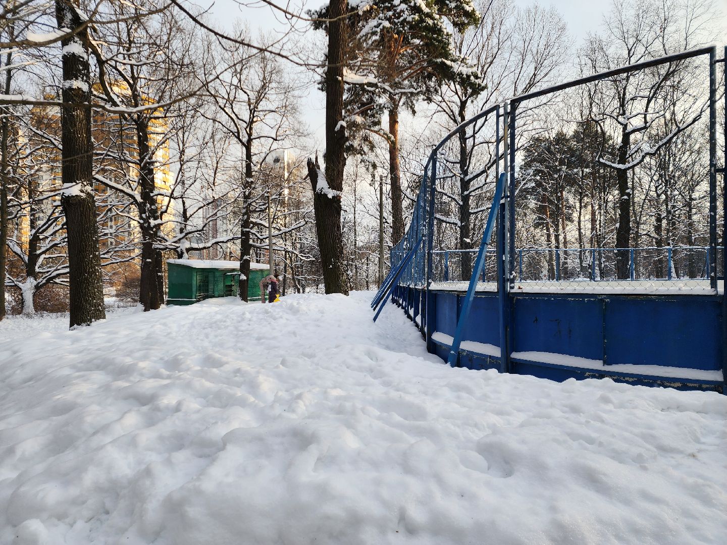 Химки, подмосковье, парки,