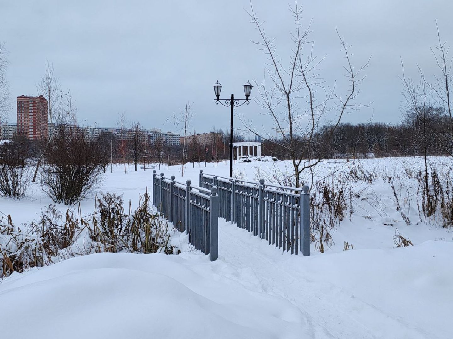 мытищи, парк мира, зима в подмосковье, парки, благоустройство, Михаил Хайкин,