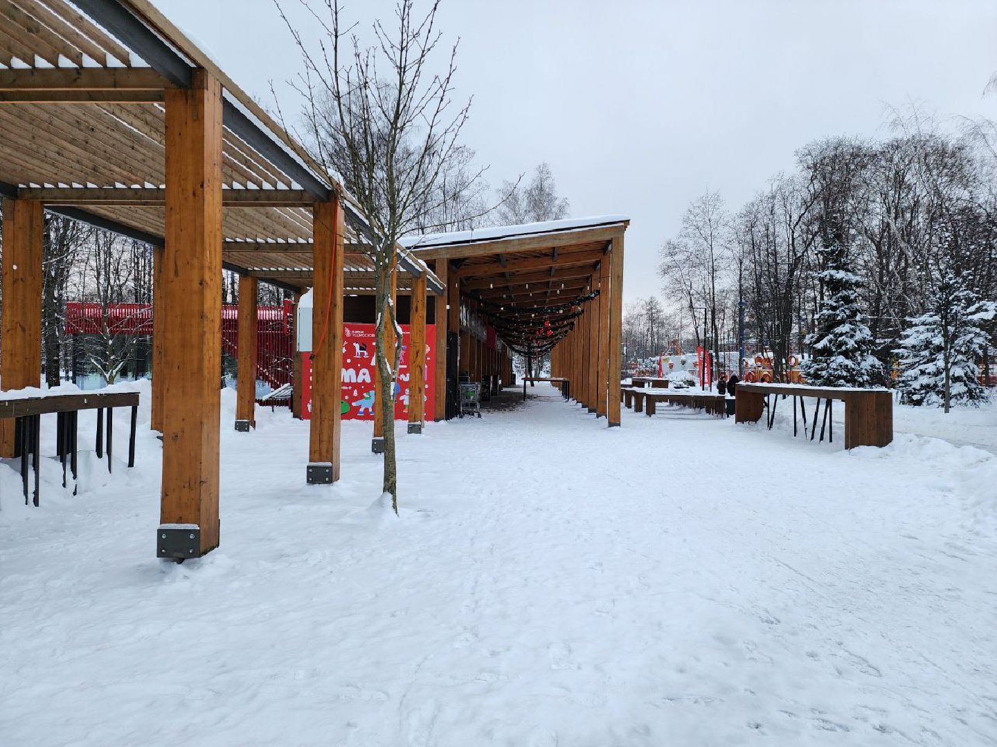 мытищи, парк мира, зима в подмосковье, парки, благоустройство, Михаил Хайкин,