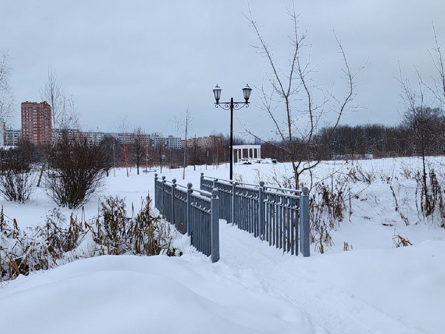 мытищи, парк мира, зима в подмосковье, парки, благоустройство, Михаил Хайкин,