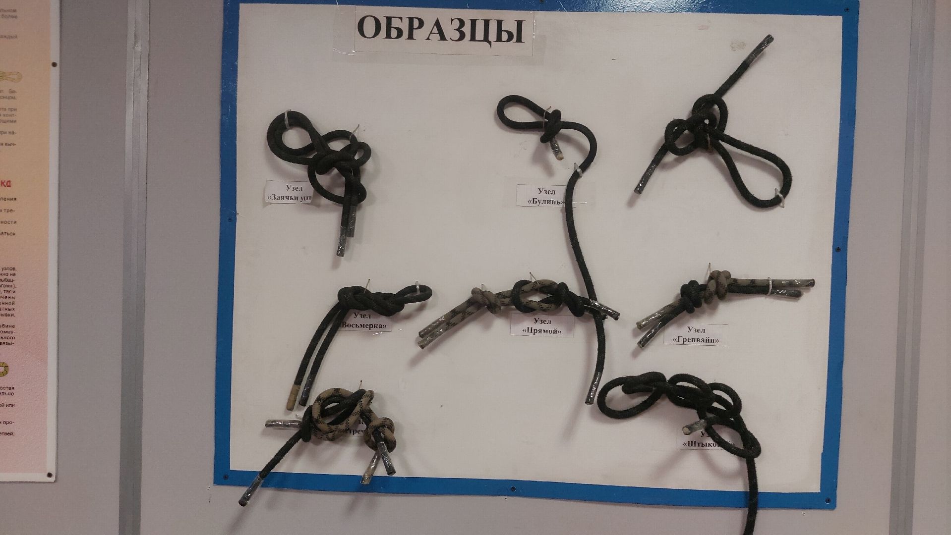 мособлпожспас, пожарная машина, пожарные, Конкурс, ГКУ,