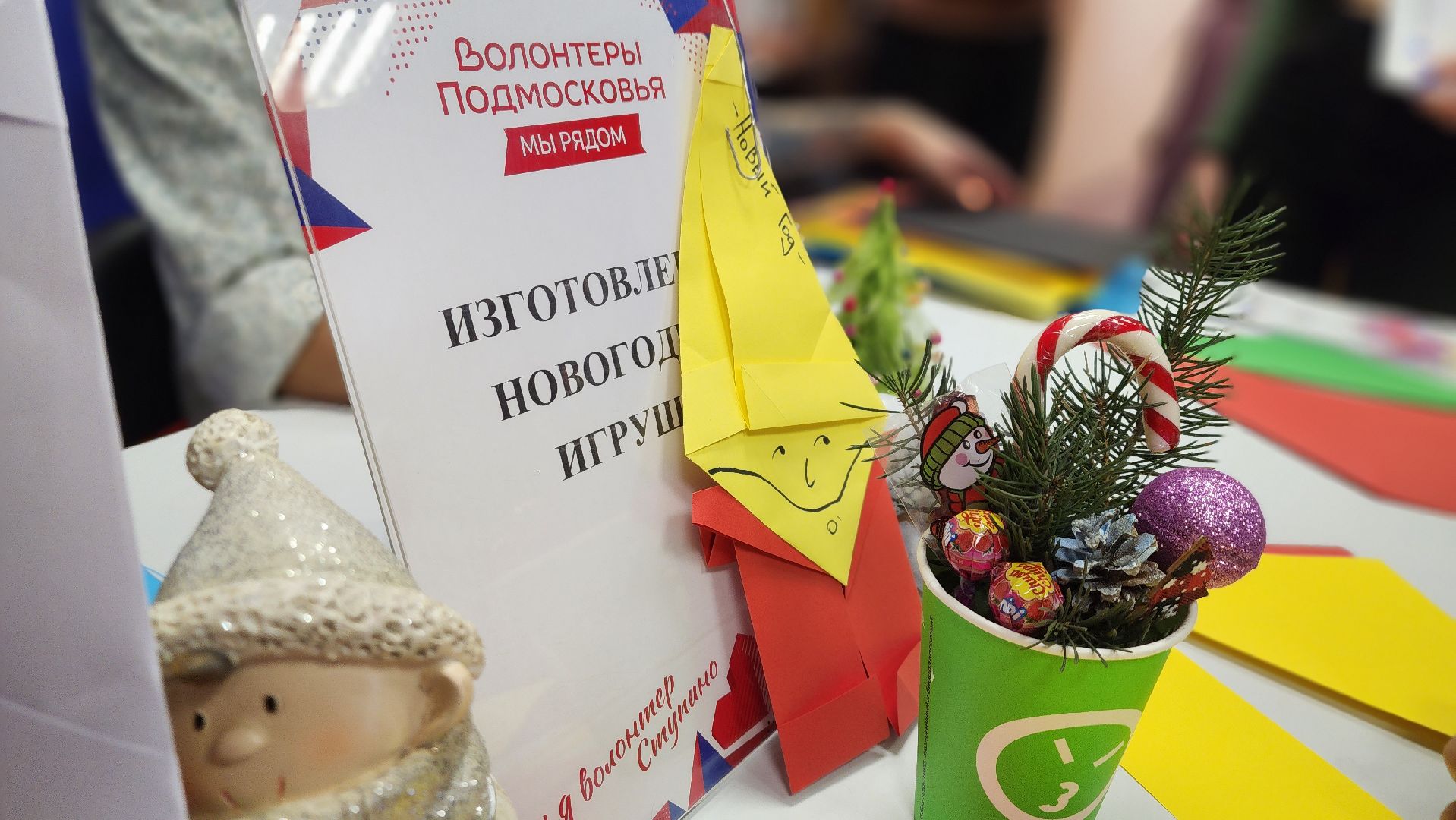 ступино, молодёжь подмосковья, волонтерское движение, волонтерство,