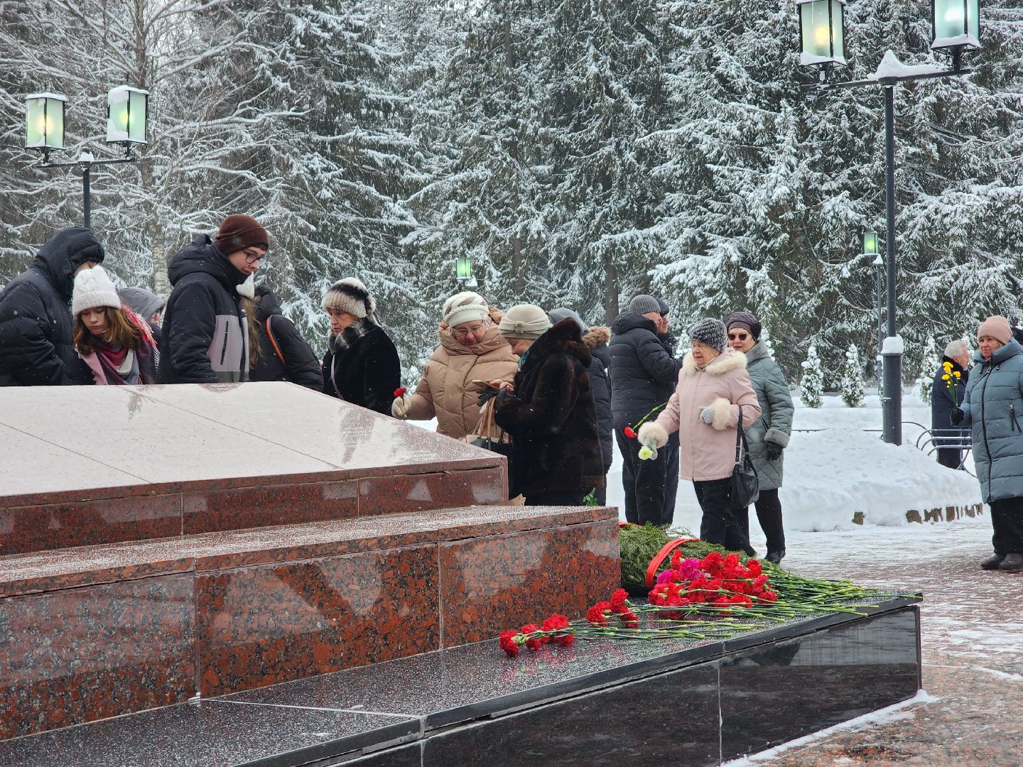 Битва под Москвой, Митинг, Акция памяти, Дубна,