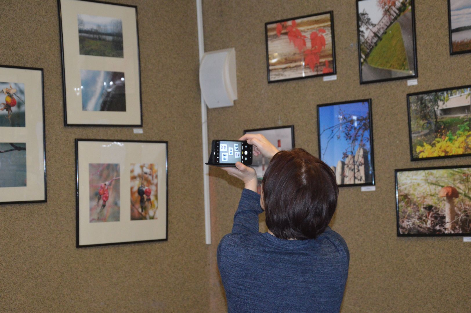 шатура, фотовыставка, photo exhibition, autumn, autumn blues,