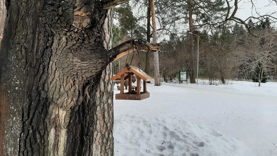 Серпухов Общество