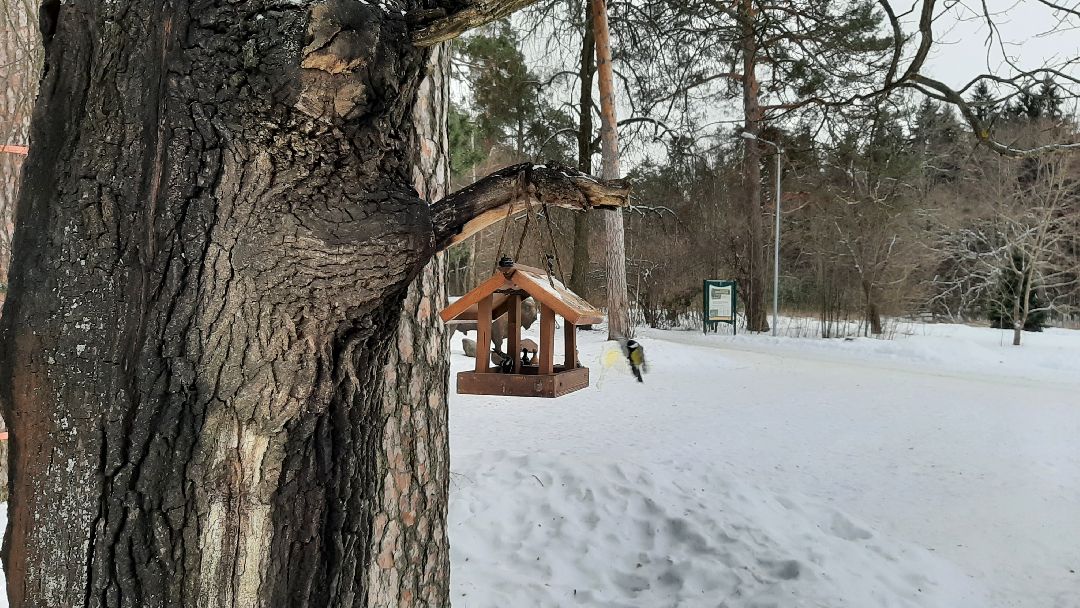 Серпухов Общество